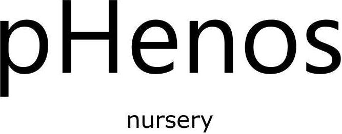 pHenos Nursery